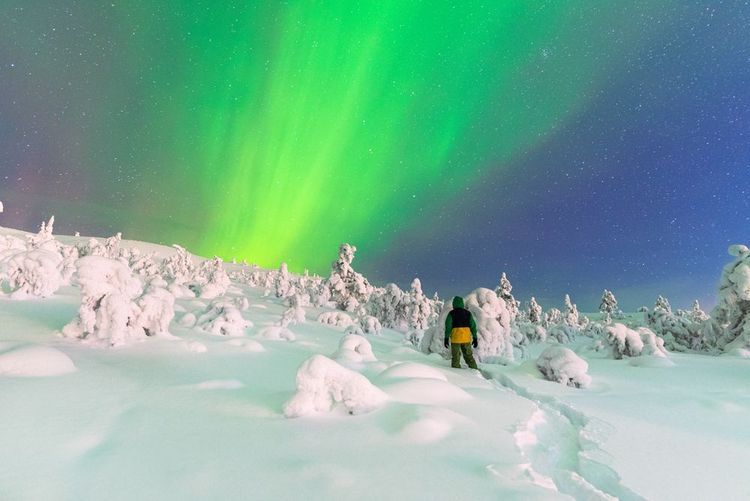 Aurore borérale verdâtre au Pôle Nord Finlande