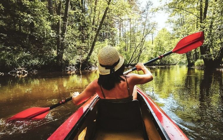 Canoë-kayak sur une rivière lituanienne, dans un sous-bois