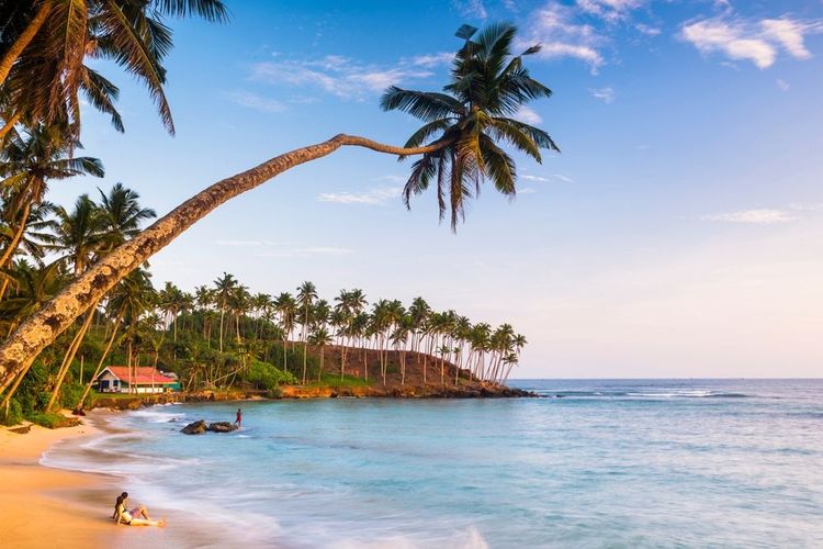  Plage de Mirissa, côte sud du Sri Lanka
