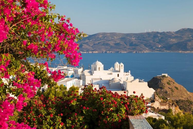 Exploration de la biodiversité unique de Milos : un écosystème unique dans les Cyclades
