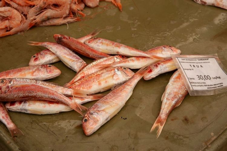 Rougets sur le marché de Rubarnica
