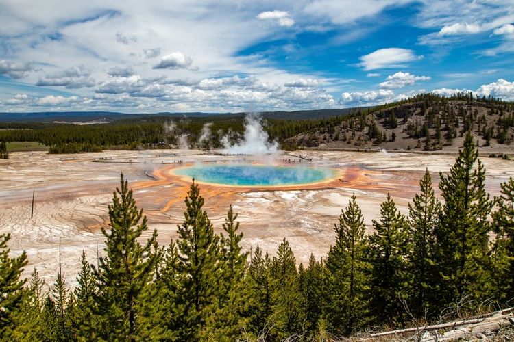 Le parc de Yellowstone