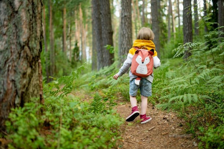 Un enfant se promène en forêt.