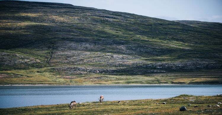  Parc national Tursujuq, Canada