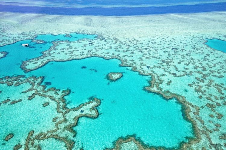 Grande Barrière de Corail, Australie