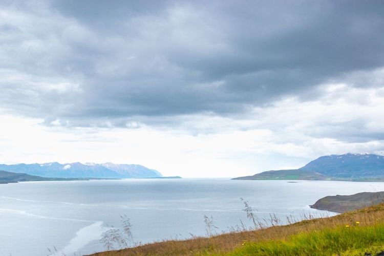 Vue à l'intérieur du fjord, vers son estuaire