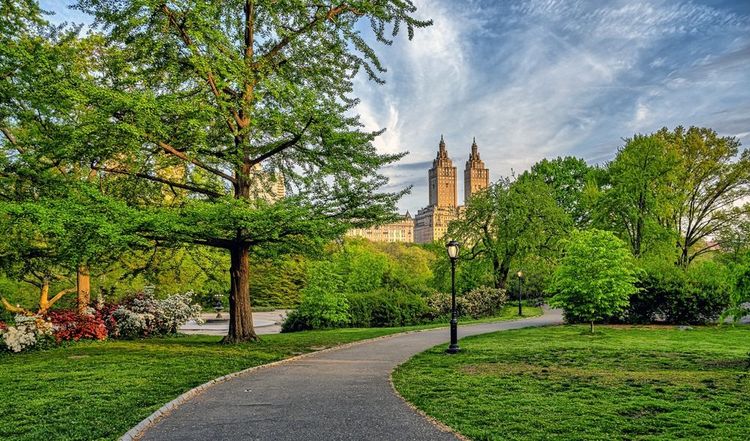 Le printemps à Central Park.
