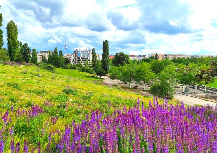 Le printemps s'éveille dans le Mauerpark de Berlin
