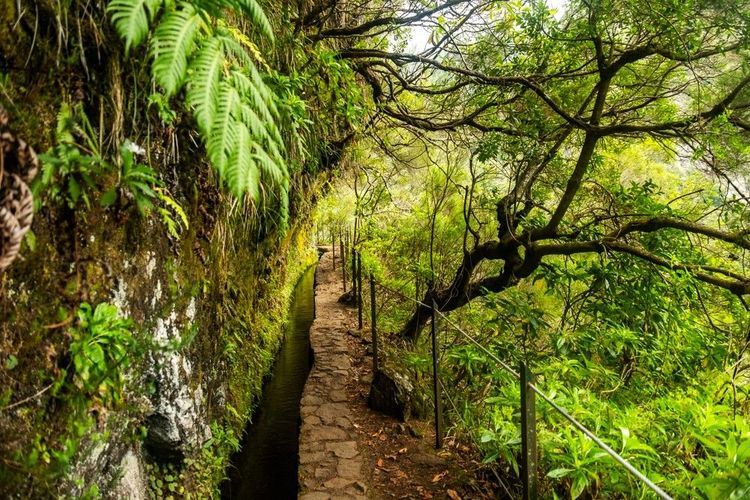 Levada do Caldeirão Verde connu aussi sous le chemin de randonnée PR9