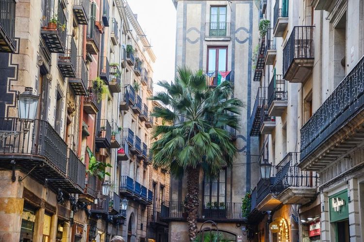 Le quartier gothique de Barcelone.
