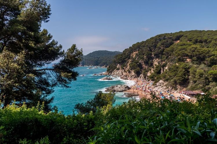 Vue du haut de la falaise et de la plage dans la baie de Cala Sa Boadella, Lloret de Mar, Costa Brava, Catalogne