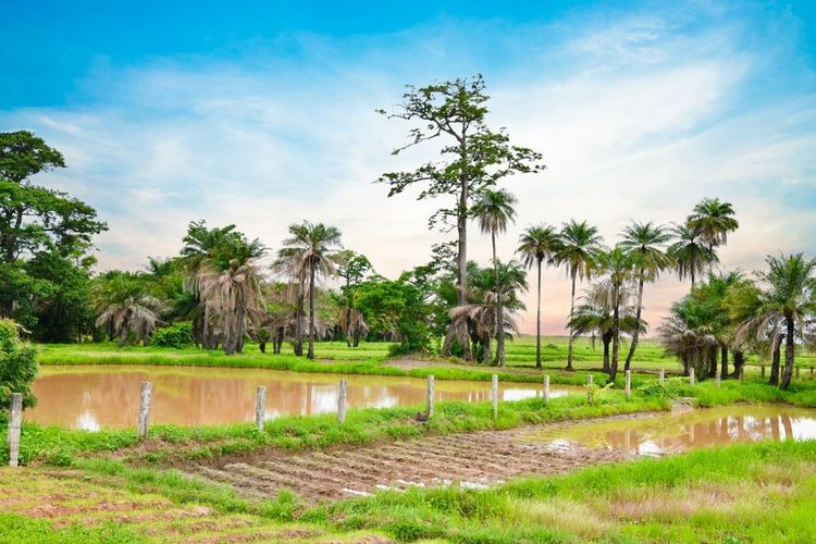 Casamance, Sénégal