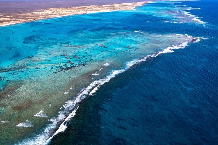Parc marin de Ningaloo, Australie 