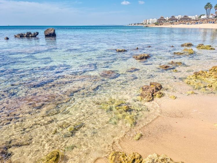 Les fonds marins du littoral d'Hammamet sont parfaits pour faire du snorkling.