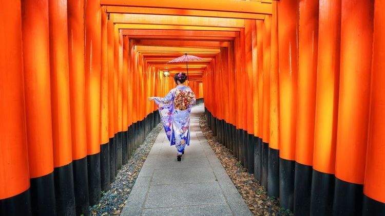 Les torii sont ces troncs peints qui forment des passages en forme de tunnels dans Fushimi Inari Taisha