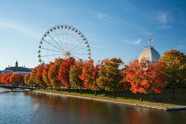 La grande roue de Montréal, au Québec.