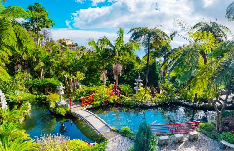 Le jardin tropical de Monte Palace se trouve au-dessus du jardin botanique