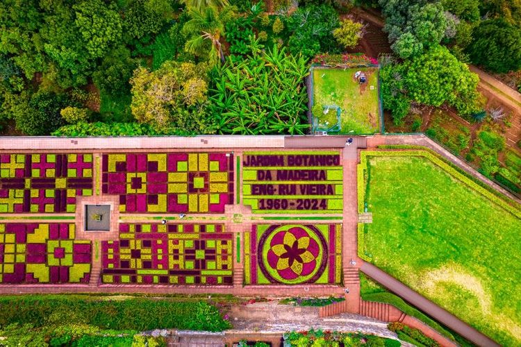 Jeu de géométrie, le jardin botanique de Funchal vu du ciel