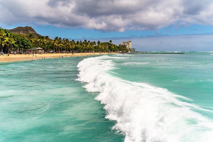  Plage de Waikiki