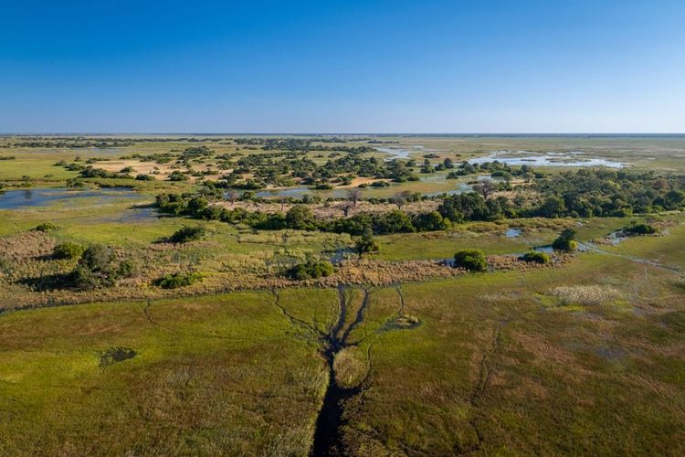 Delta de l'Okavango, Botswana