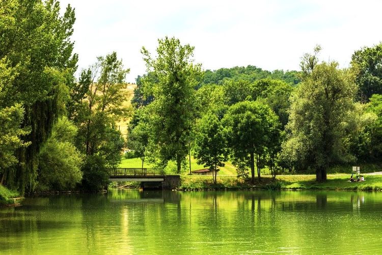 Un petit pont enjambe la Dourme qui se jette dans le lac