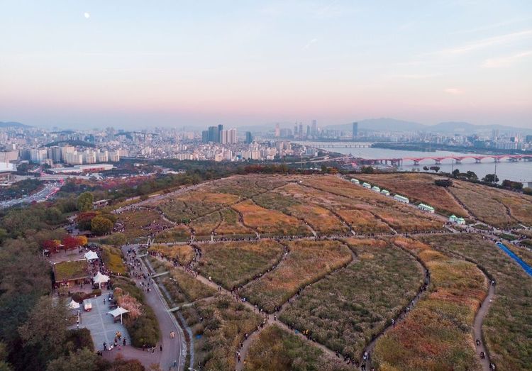 Parc Haneul