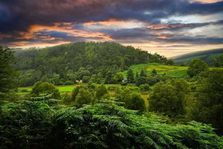 Le parc national de Glendalough.