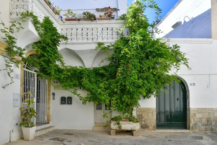 Rue étroite dans le centre historique de Gallipoli, Pouilles