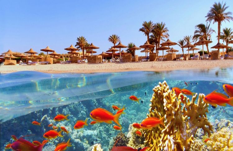Plage d'un resort à Hurghada, sur la mer Rouge