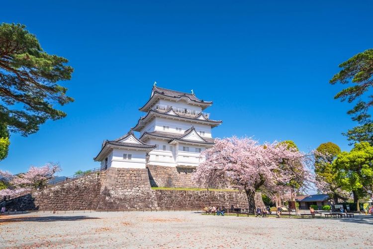 Le château d'Odawara