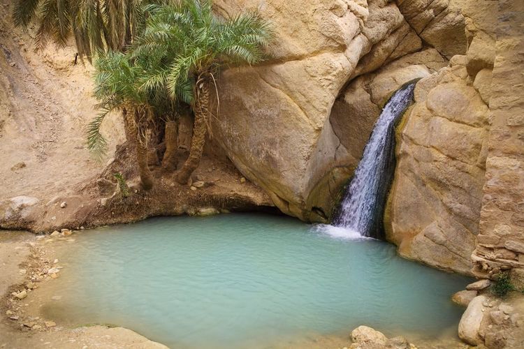 L’oasis de Chebika