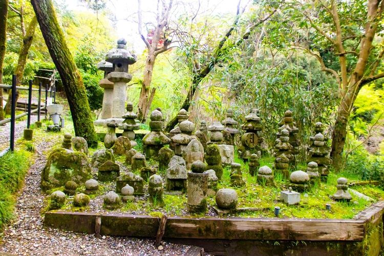 Symboles bouddhistes autour d'une représentation de Bouddha
