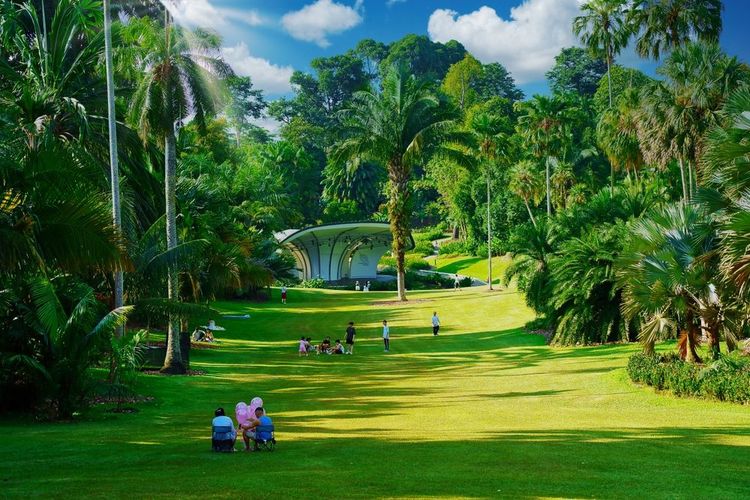Le jardin botanique de Singapour
