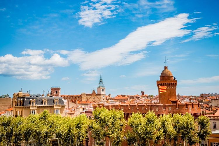 Vue sur le Castillet et sur les toits de Perpignan.