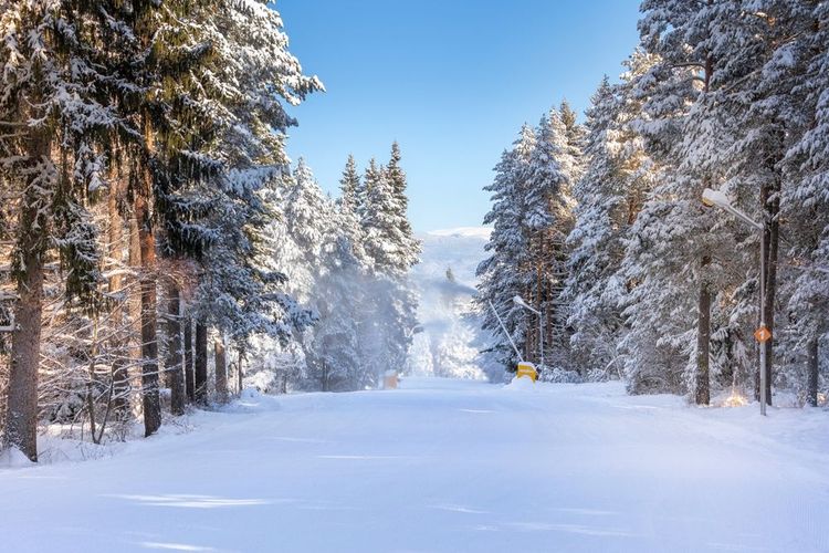 Bansko, Bulgarie 