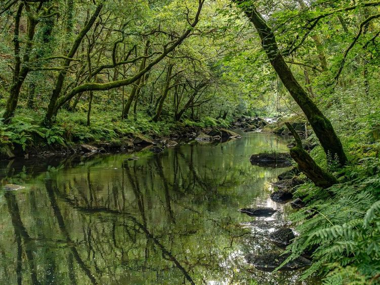 El rio Mero, dans les environs de Betanzos