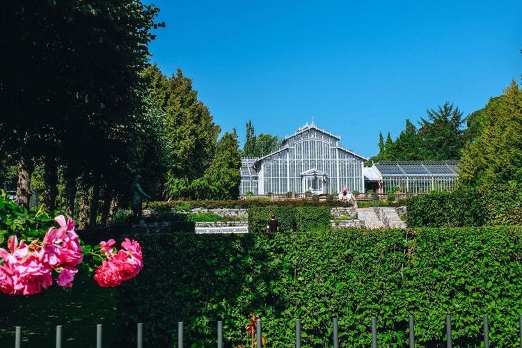 La grande serre du parc botanique de Kallio