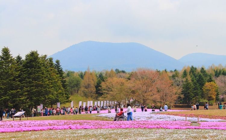 Le parc ujikawaguchiko, non loin du mont Fuji