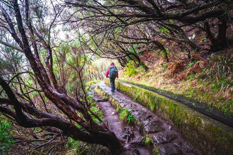 Randonnée le long d'une levada de Madère. Ca monte.