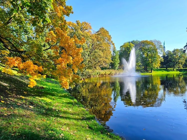 Le parc Kronvalda et son canal animé d'un beau jet d'eau vertical