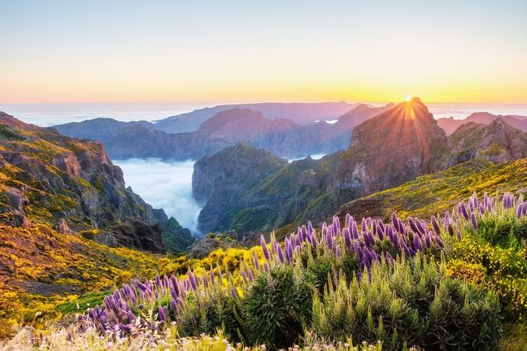 Pico do Arieiro