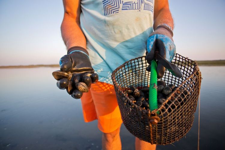 Pêcheur à pied à Noirmoutier