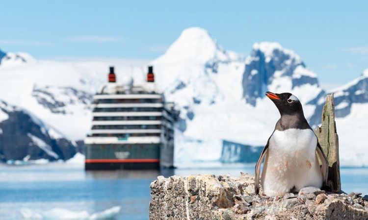 Vous voulez visiter les pôles ? Une croisière bien équipée est le modèle idéal