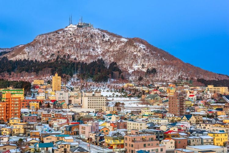 La beauté enchanteresse du Mont Hakodate, joyau de Hokkaido