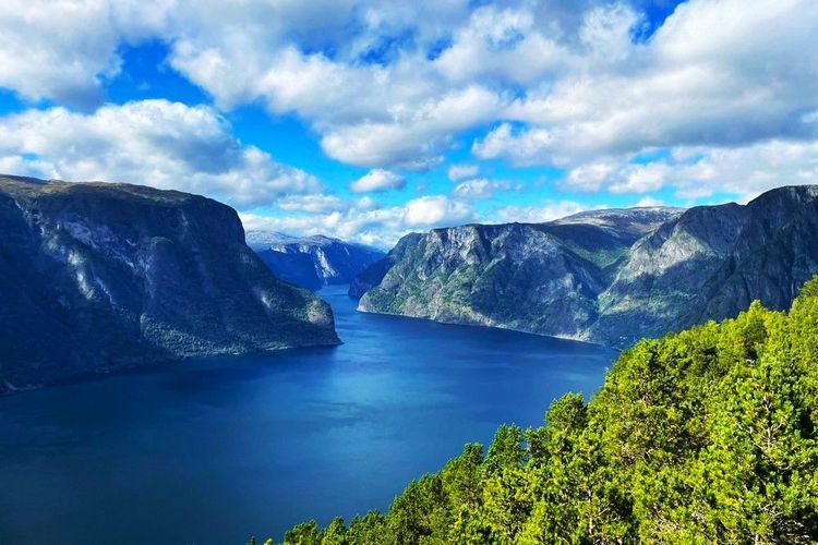 Explorez la majesté du fjord d'Oslo, une croisière inoubliable