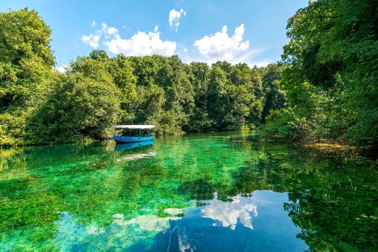 Balade en barque sur les eaux cristallines des sources de Black Drin dans le lac Ohrid