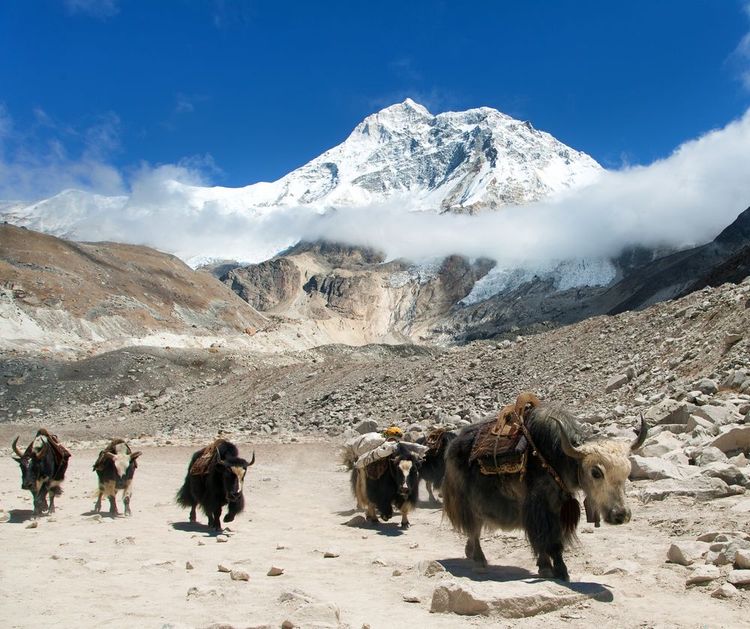 Vue du mont Makalu