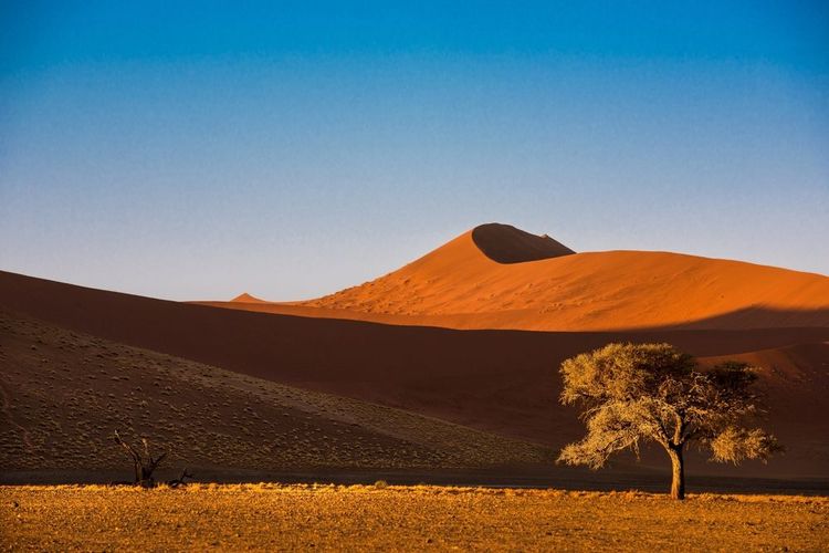 Dunes de Sossusvlei, Namibie