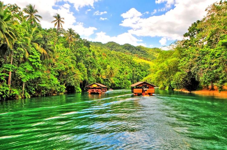 Croisière sur la rivière Loboc, province de Bohol