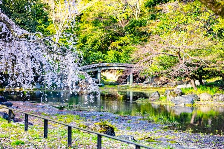 jardin national de Kyoto Gyoen